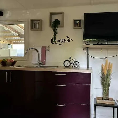Camping Mobil-home Le Ch'ti Gard *
